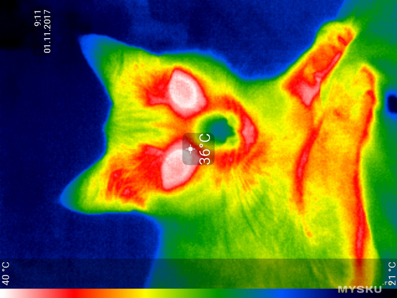 Программа тепловизор для смартфона на базе android
