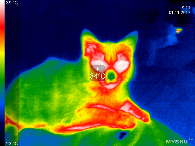 Приложение тепловизор. Нагревательный кабель тепловизор. Тигр с тепловизором.