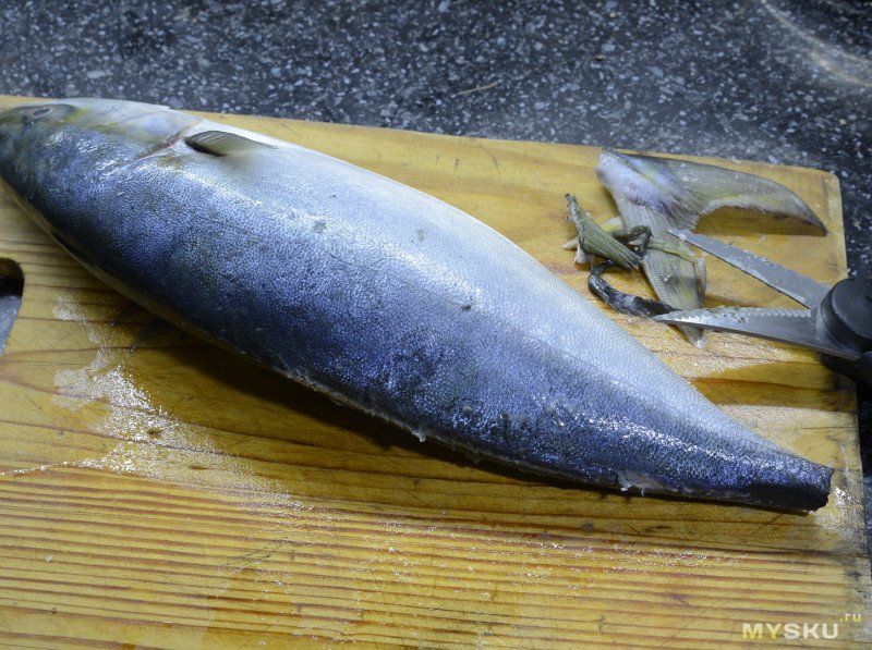 Ножницы для рыбы Fiskars в Москве: 10-товаров: бесплатная доставка, скидка-12% [перейти]
