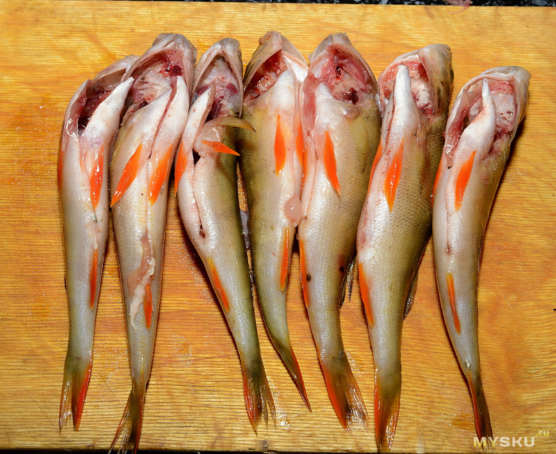 Ножницы для рыбы Fiskars в Москве: 10-товаров: бесплатная доставка, скидка-12% [перейти]