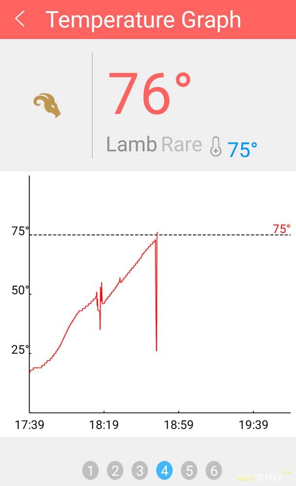 Смарт термометр для BBQ