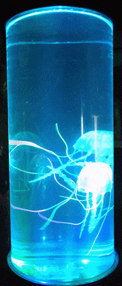 Светильник-аквариум с плавающими медузами