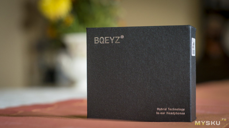 BQEYZ KB100 - необычная комбинация излучателей и вовлекающий звук