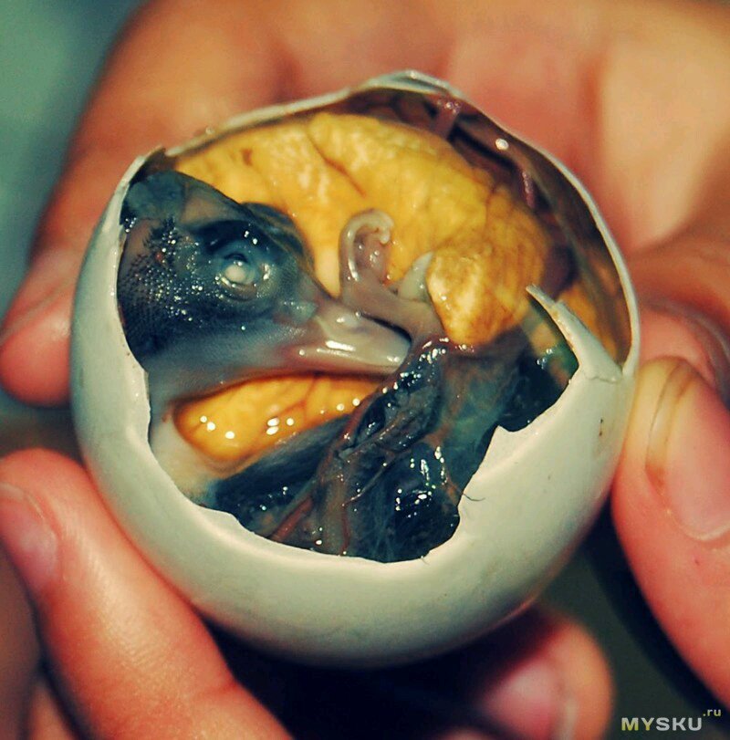 Сунхуадань. Китайские "тысячелетние" яйца
