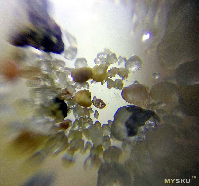 Микроскоп из смартфона за 100 руб.