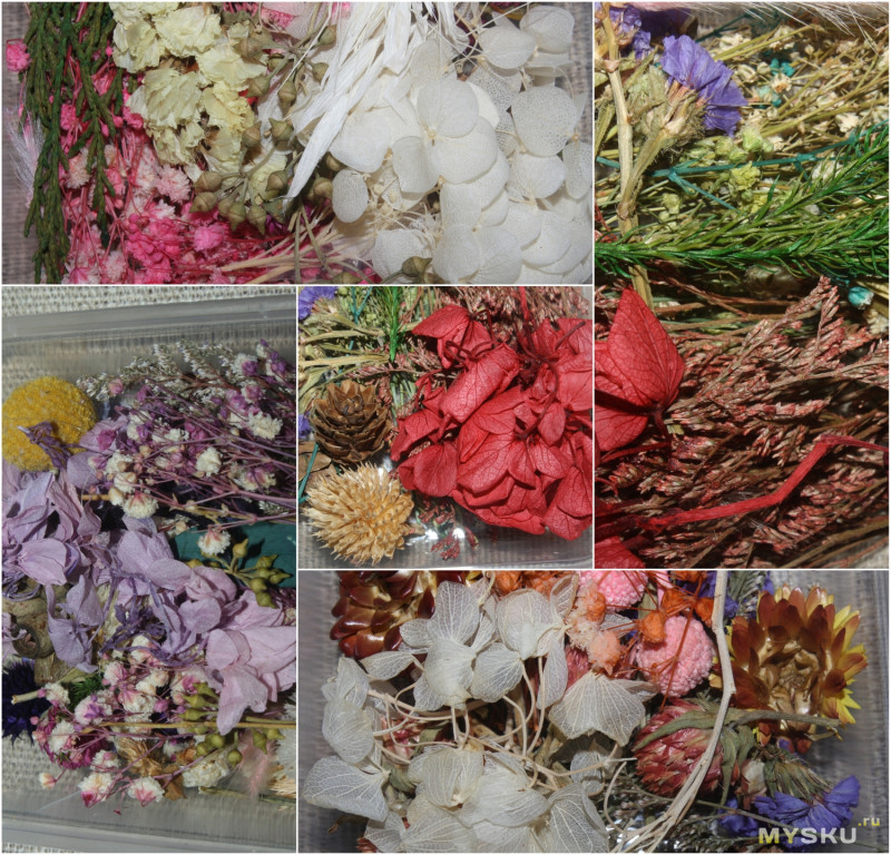Сухоцветы из Китая для изготовления украшений из эпоксидной смолы и не только