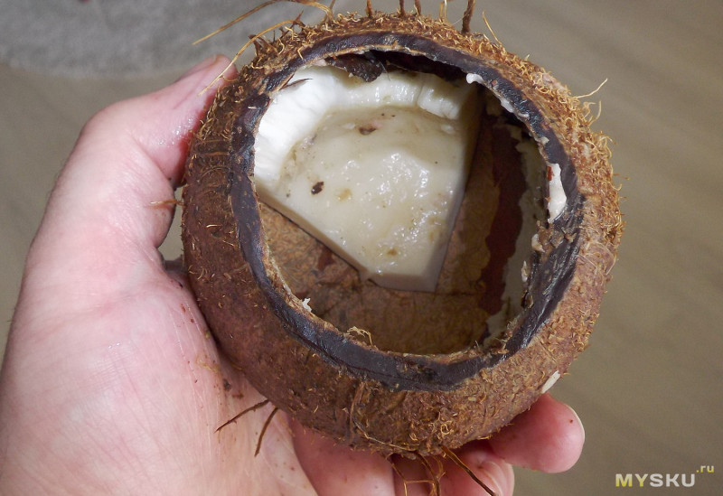 Ваза/элемент декора из кокоса