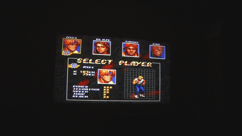 Картридж 196 in 1 для Sega Genesis 16 bit